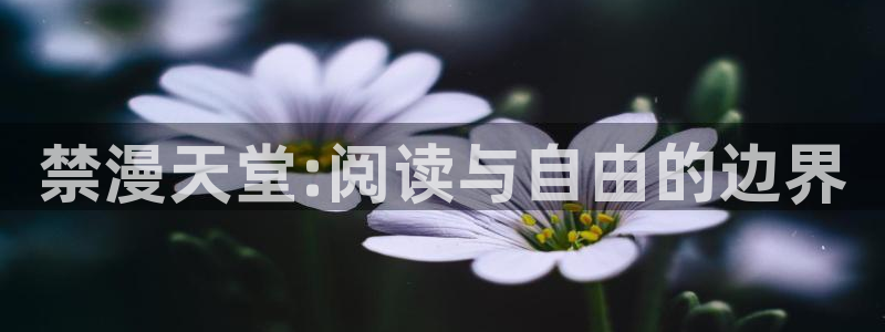 omofun动漫在线观看免费全集：禁漫天堂:阅读与自由的边界