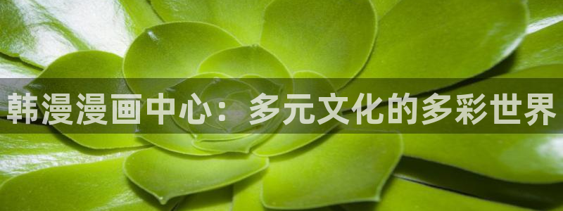 女神降临omofun动漫：韩漫漫画中心：多元文化的多彩世界