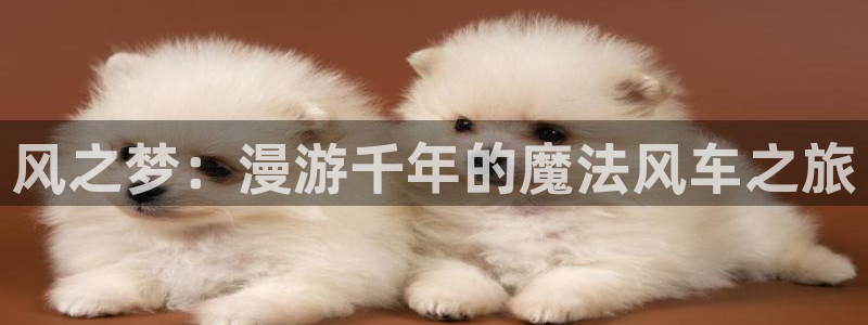 omofun下载ios：风之梦：漫游千年的魔法风车之旅