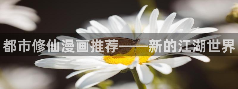 omofun网页入口版：都市修仙漫画推荐——新的江湖世界